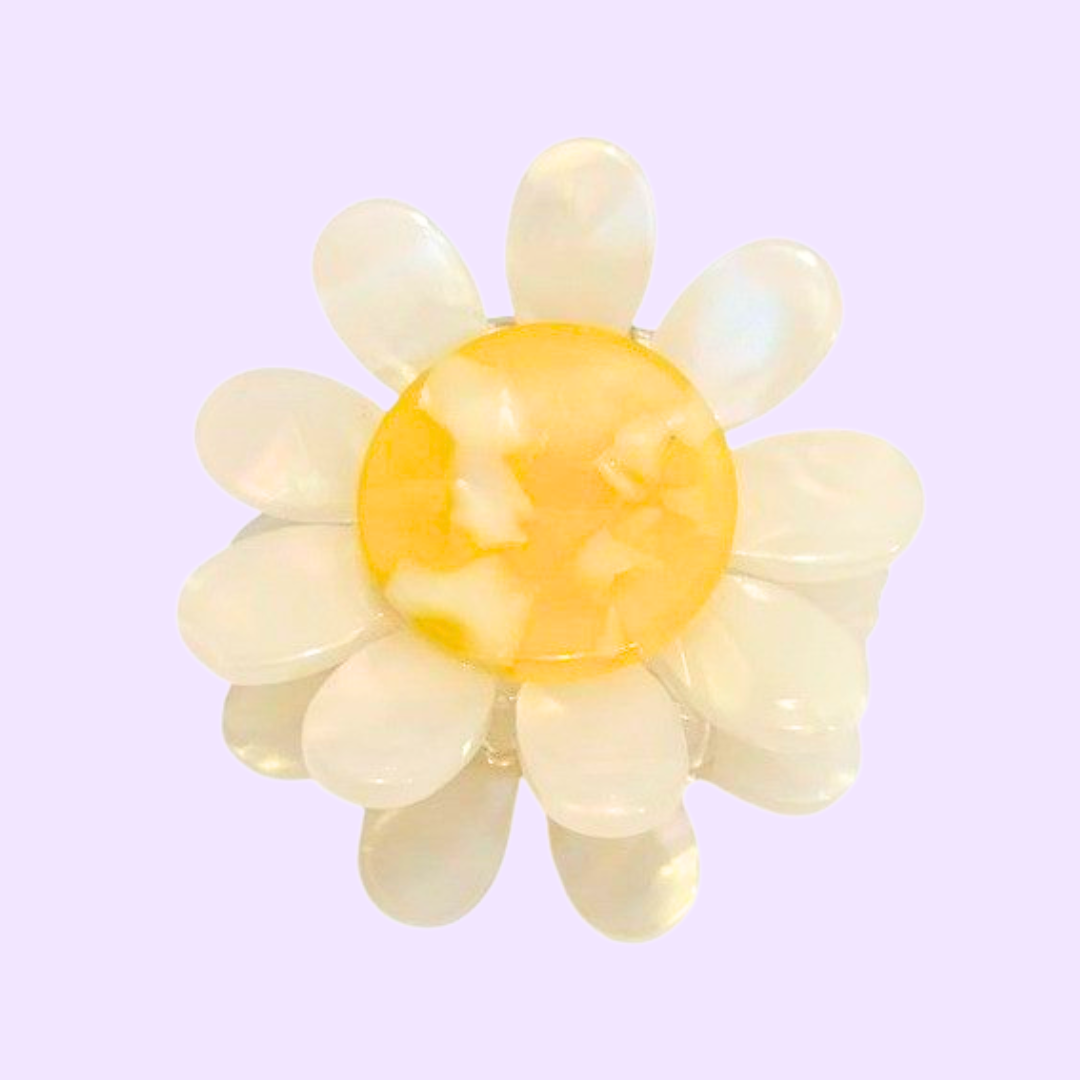 Cute Claw Clips