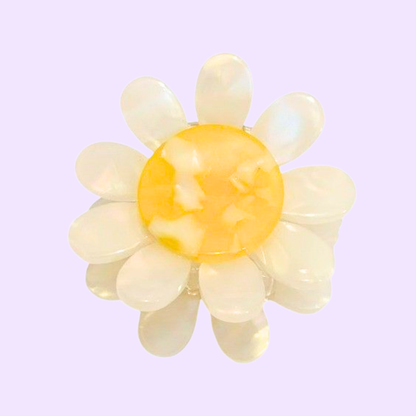Cute Claw Clips